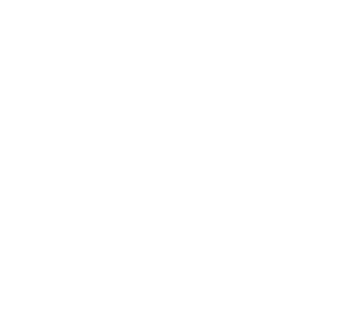 Pfots GmbH - Hochwertige und nachhaltige Hundeprodukte