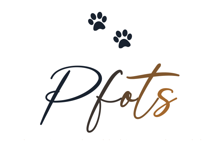 Pfots GmbH - Hochwertige und nachhaltige Hundeprodukte